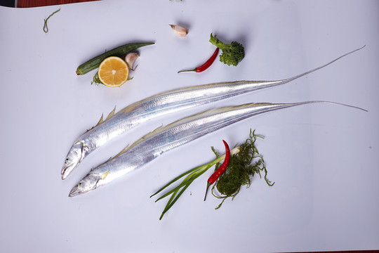 帶魚