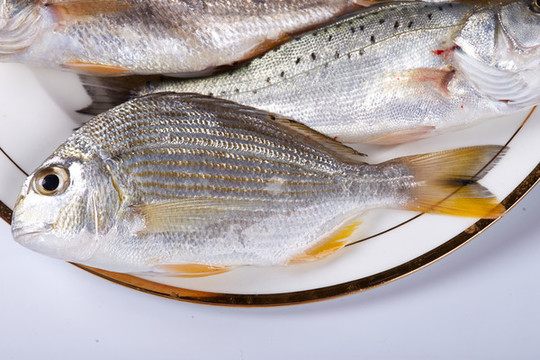 海鮮雜魚(yú)