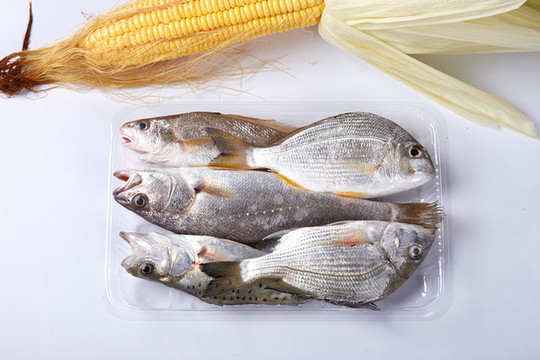 海鮮雜魚