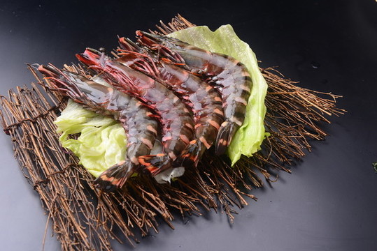 斑節(jié)蝦