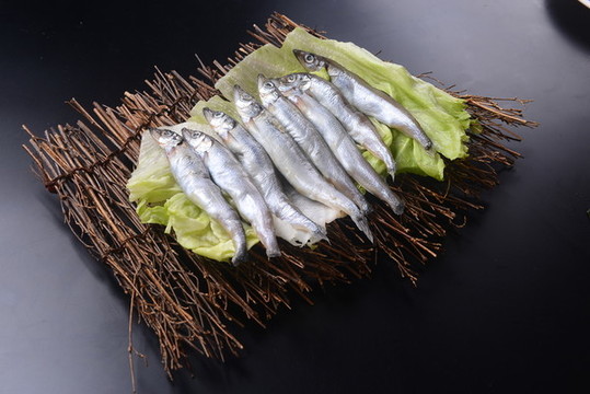 多春魚