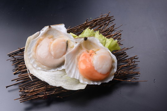 扇貝