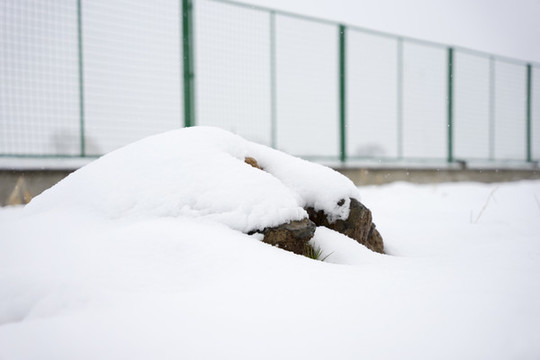 雪地