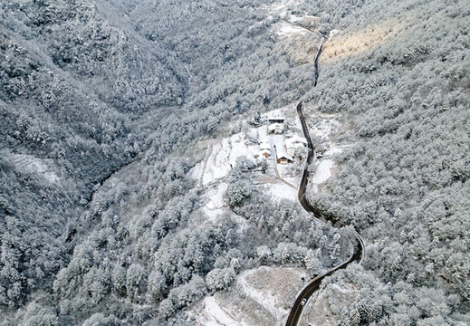 金佛山雪景