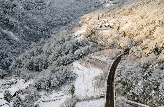 金佛山雪景