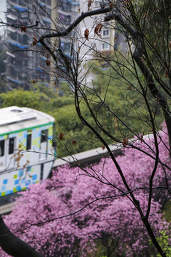 開往春天的列車