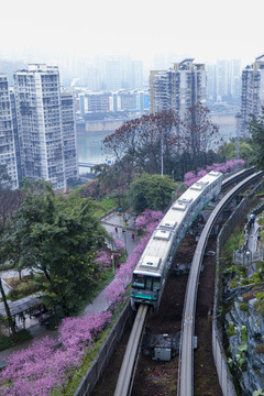 開往春天的列車