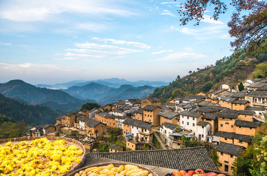 陽產(chǎn)土樓