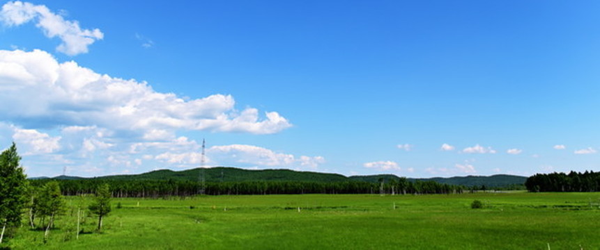 北方夏季風光