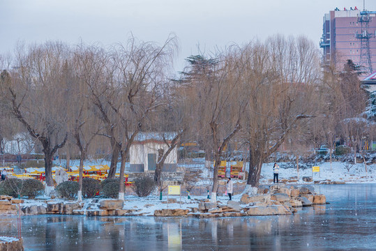 冬天下完雪的城市公園