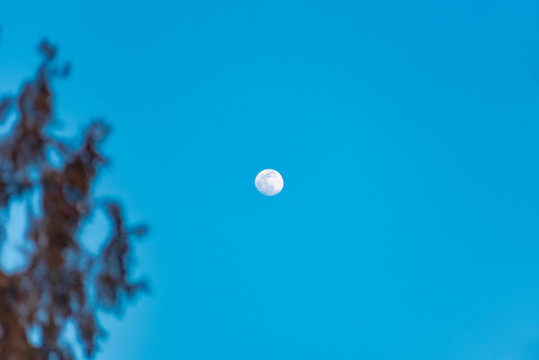 傍晚時(shí)分天空的圓月亮