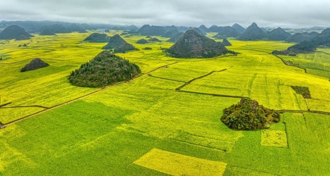 航拍羅平油菜花