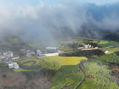 航拍羅平油菜花