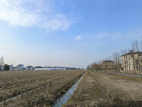 冬日桑蠶園