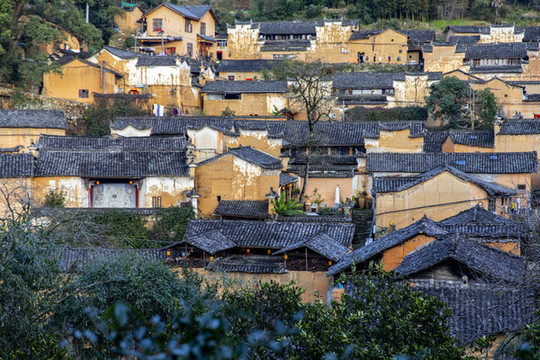 松陽楊家堂全景圖