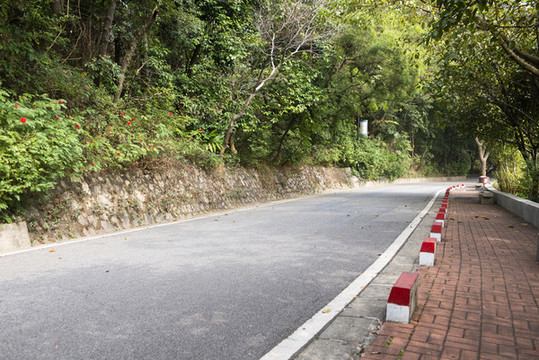 林蔭柏油路中角度