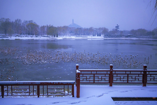 雪景