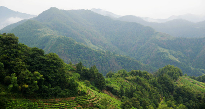 綠色大山