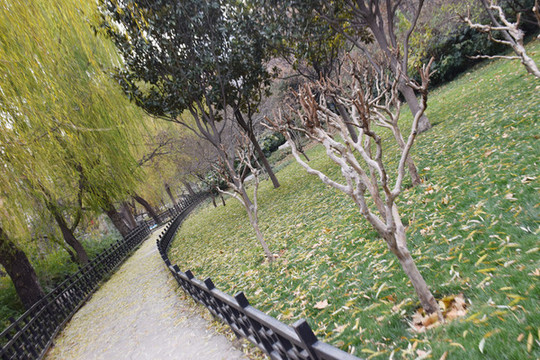 公園一角