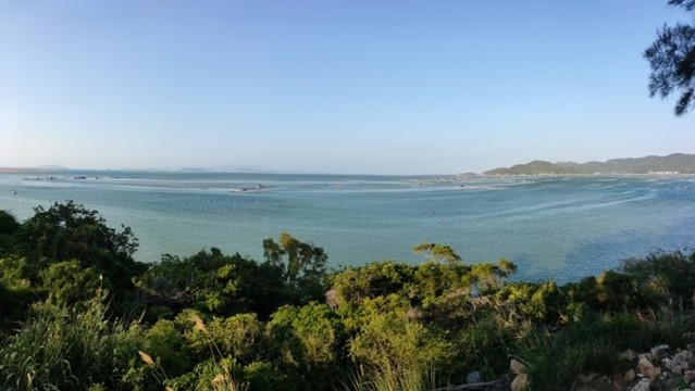 大海