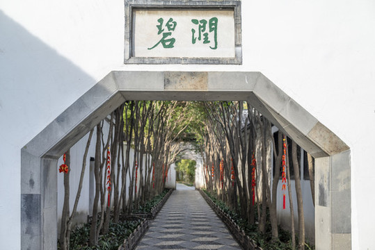 揚州個園框景