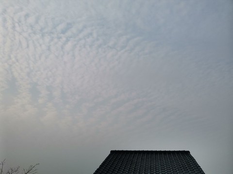靜謐的天臺風(fēng)景