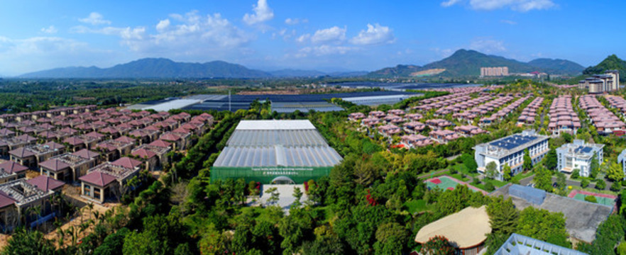 熱帶農(nóng)業(yè)