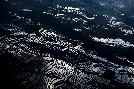 元陽(yáng)梯田