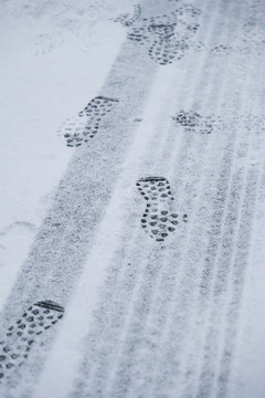 雪中馬路上的腳印