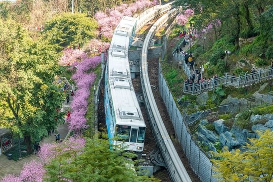 開往春天的列車