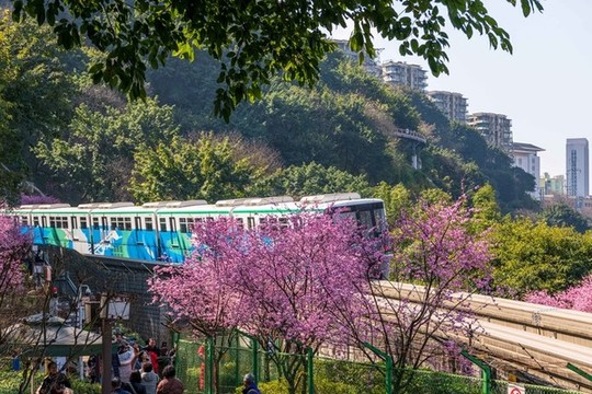 開往春天的列車