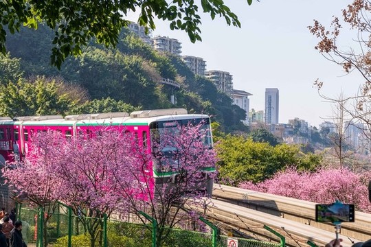 開往春天的列車