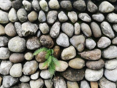 鵝卵石墻