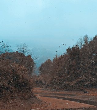 雪花飄落倦鳥(niǎo)歸巢