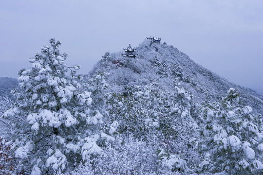 蘇州大陽山雪景