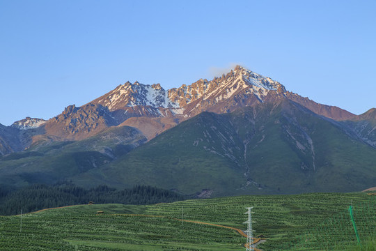 青海祁連牛心山