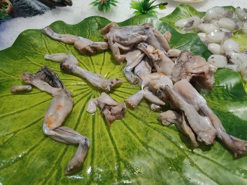 牛蛙肉