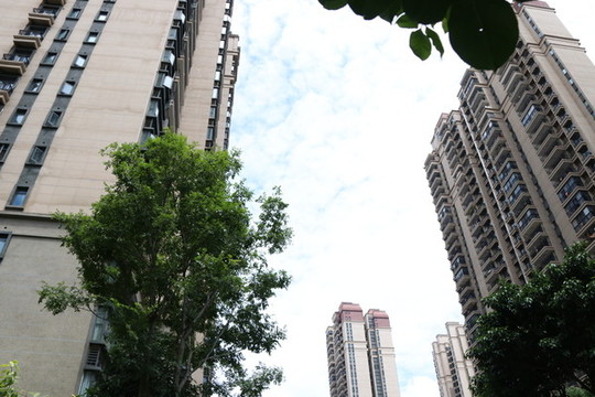 小區(qū)高樓