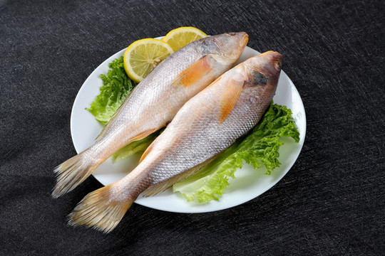 舟山皇姑魚