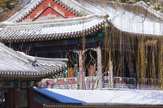 頤和園下雪