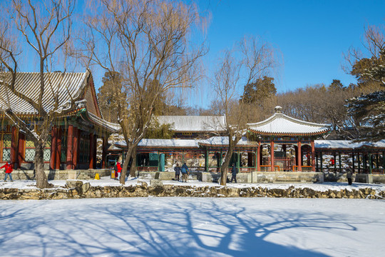 雪景