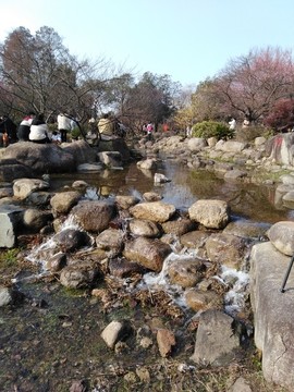 踏雪梅園