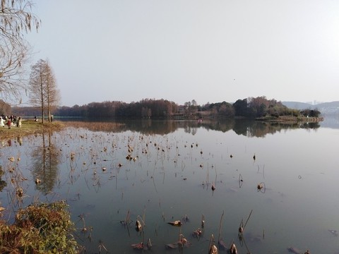 東湖一角