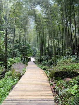 自然風景區(qū)步道
