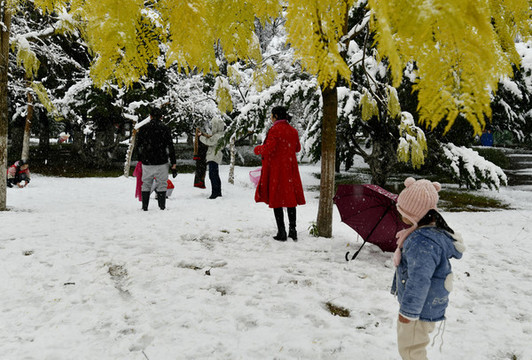 賞雪