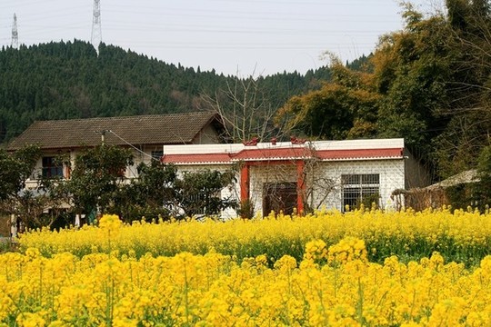 四川農(nóng)家
