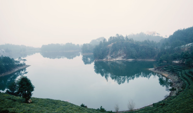 茶山風(fēng)景