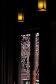 慧因高麗寺梅花