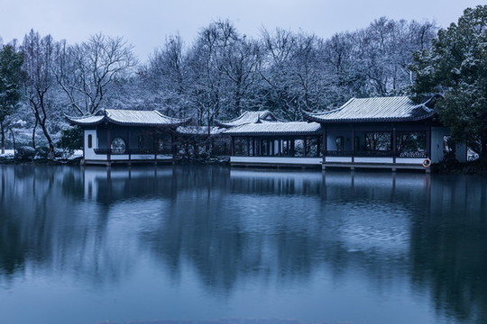 杭州曲院風(fēng)荷雪韻