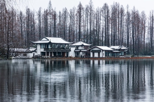 杭州曲院風(fēng)荷雪韻